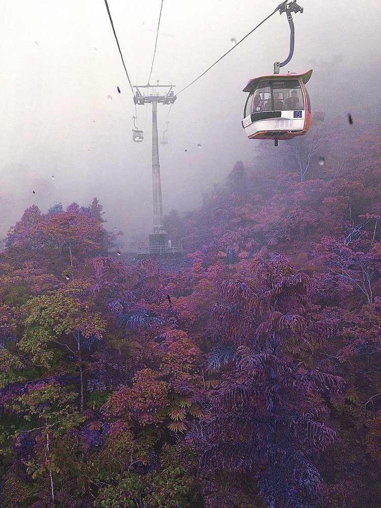 The freshness of nature