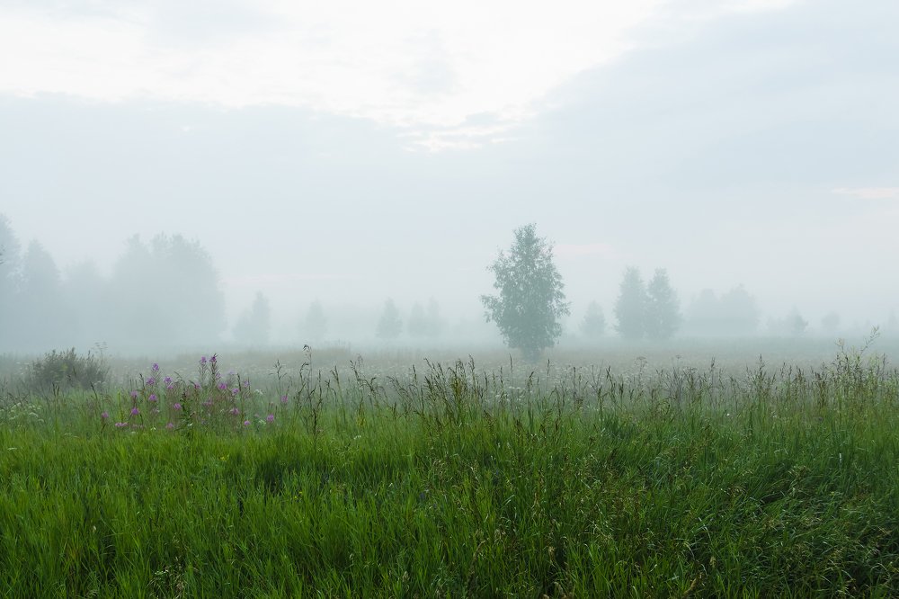 Там за туманами