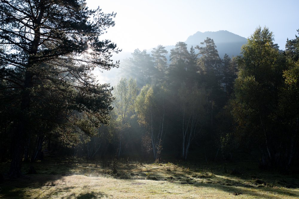 Photograph by Елена Клементенок