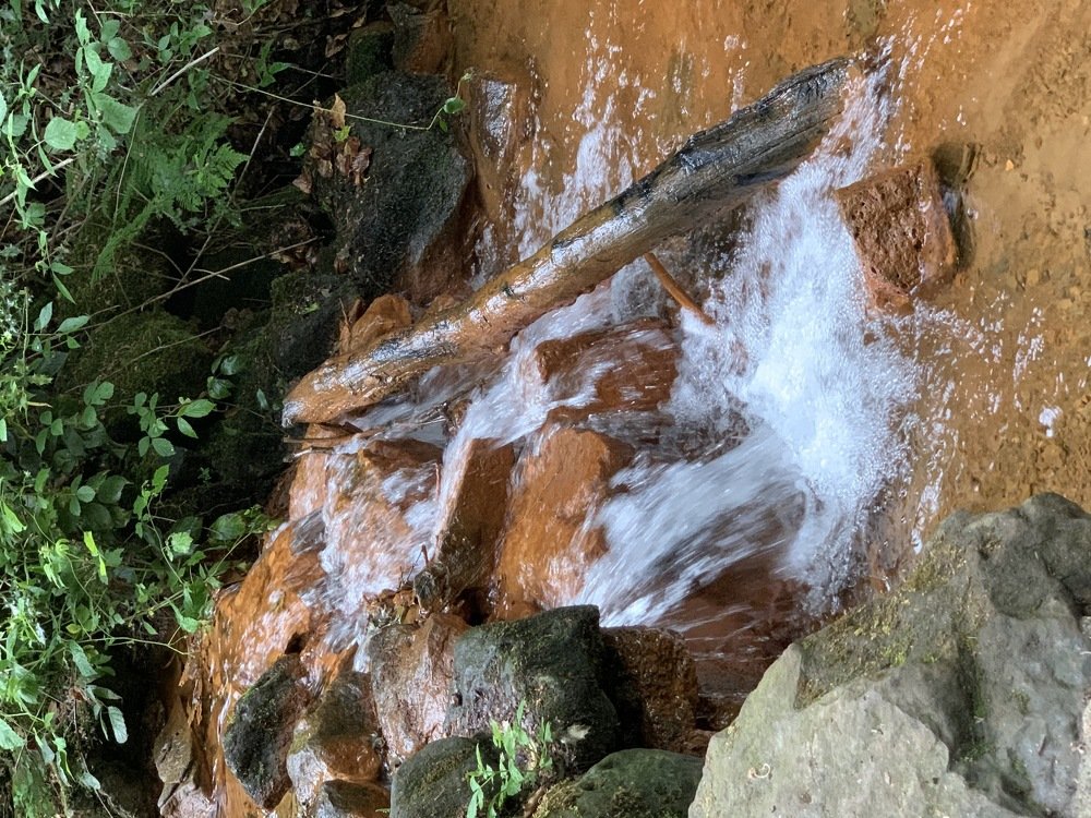 Photograph by Viktor Dikmann