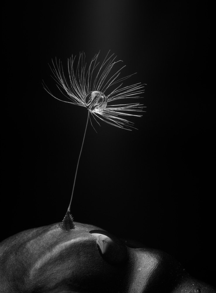 Photograph by Сергей