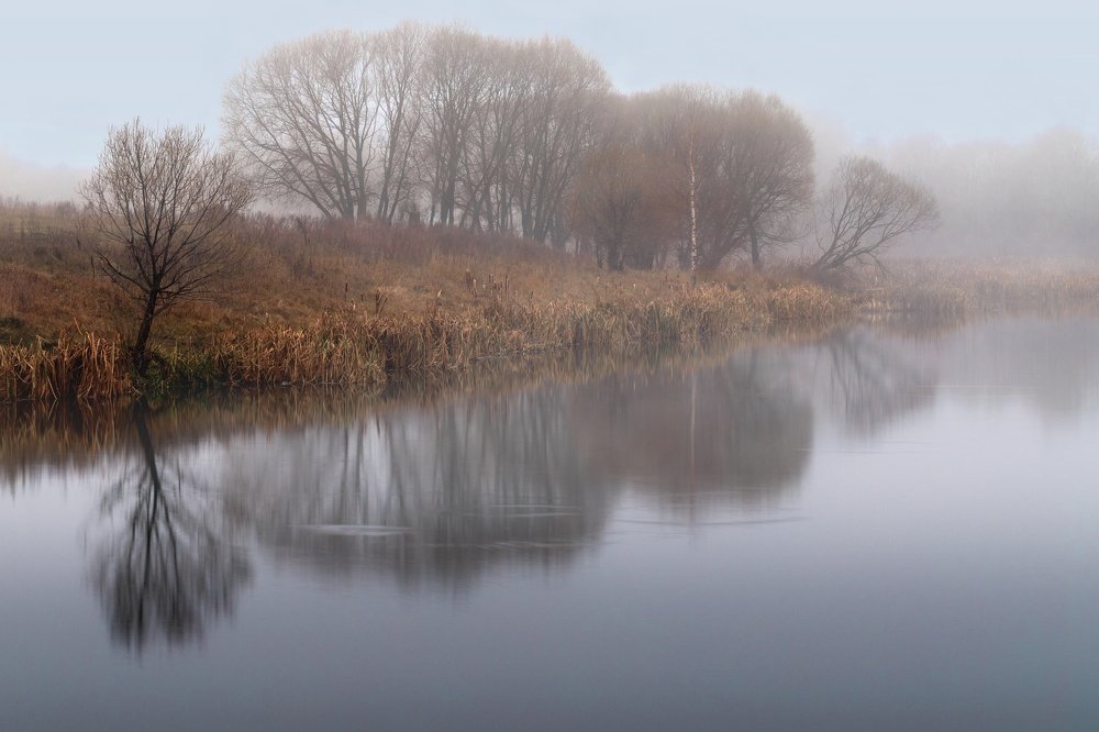 Photograph by Николай Борисов