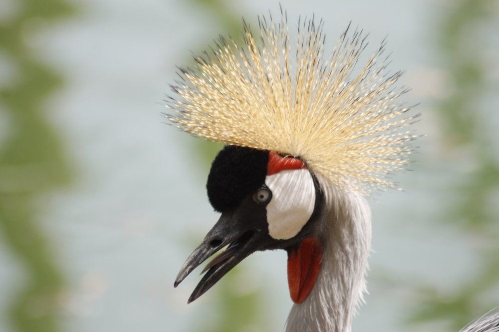 Photograph by Francisco Ferreira