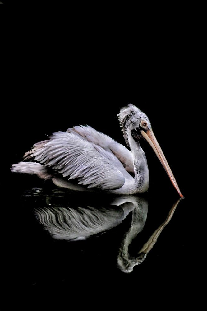 Photograph by Madhurya Mozumder