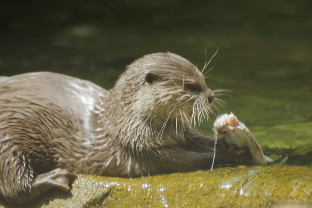 Photograph by Francisco Ferreira