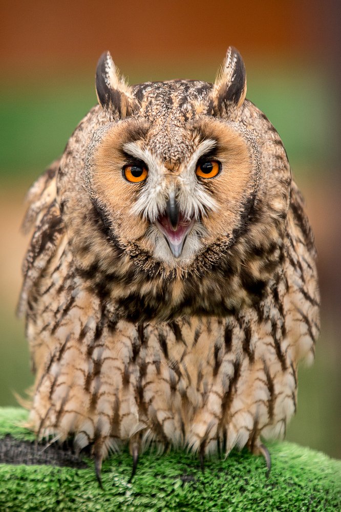 Photograph by Андрей Шаронов