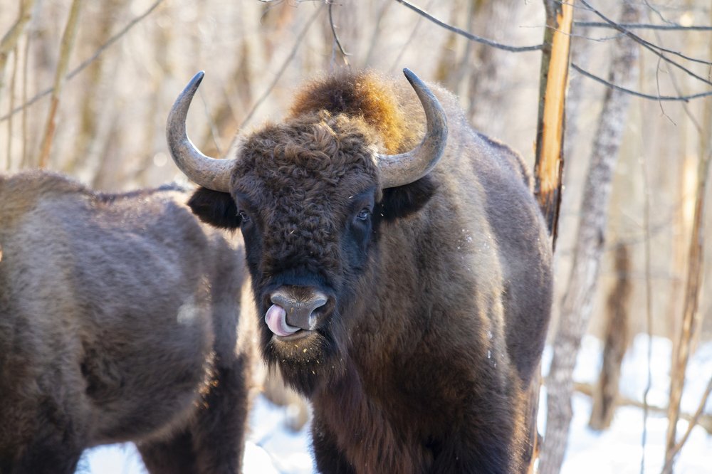 Photograph by Андрей Шаронов