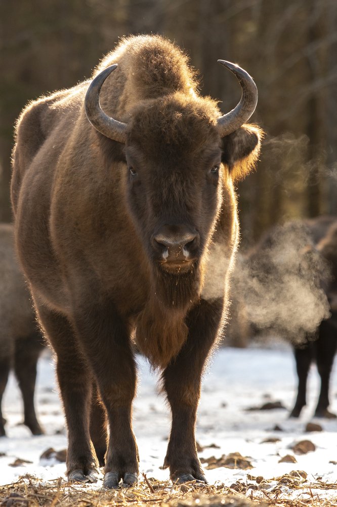 Photograph by Андрей Шаронов