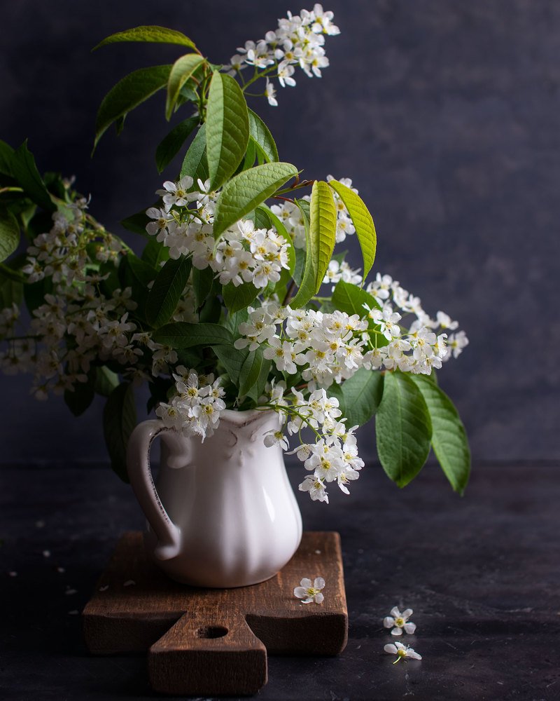 Photograph by Мария Скойбеда
