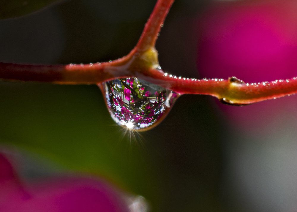 Photograph by selçuk kayan