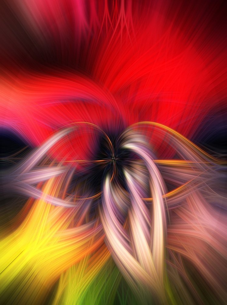 Photograph by Pm mendes