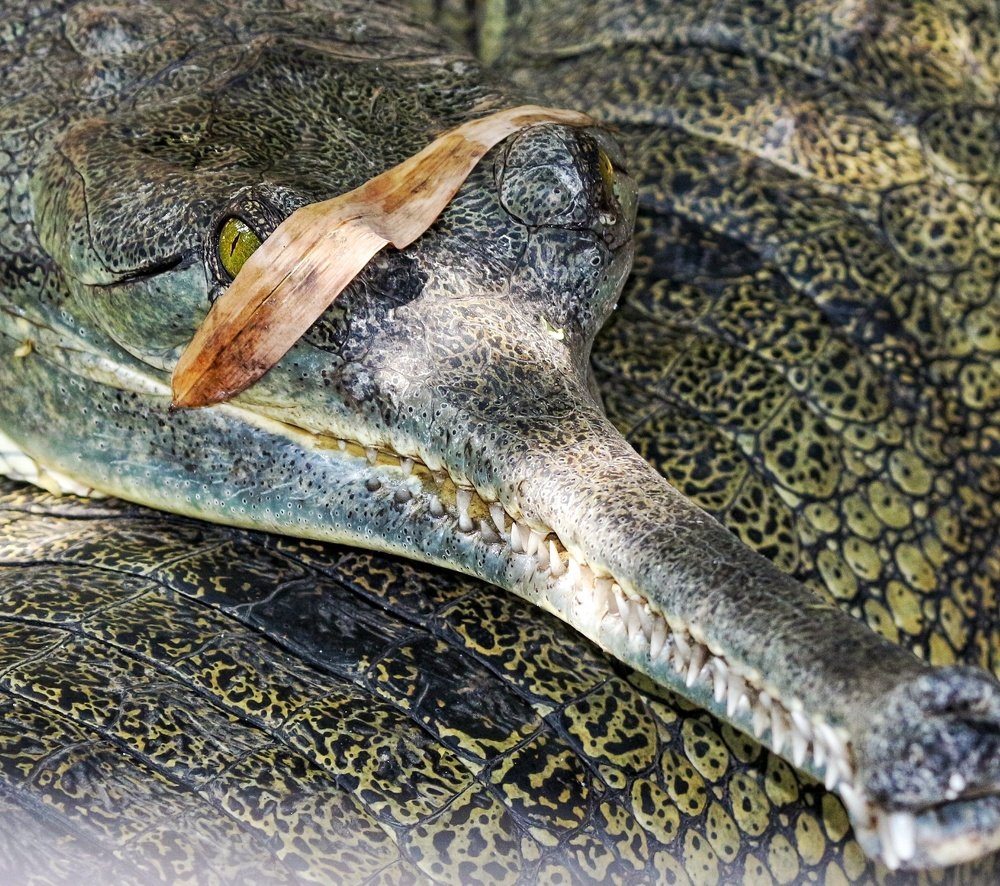 Фотография автора Pratik Chavan