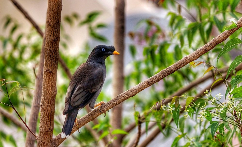 Фотография автора Pratik Chavan