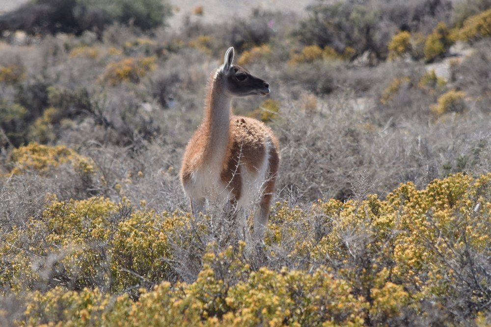 Photograph by Alfredo Jacquemard