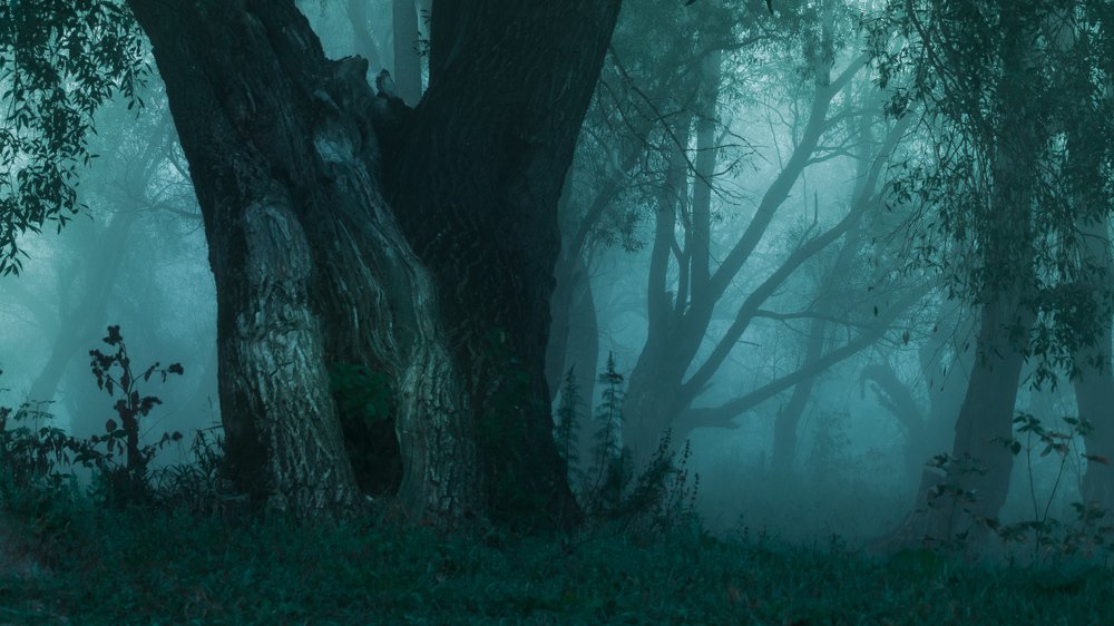 Фотография автора Руслан Комаров