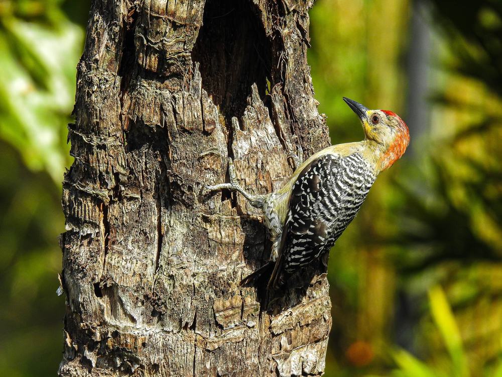 Photograph by Caio Pereira de Oliveira