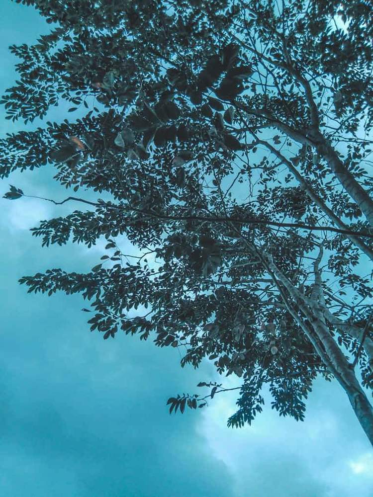 Photograph by Lloyd Aying
