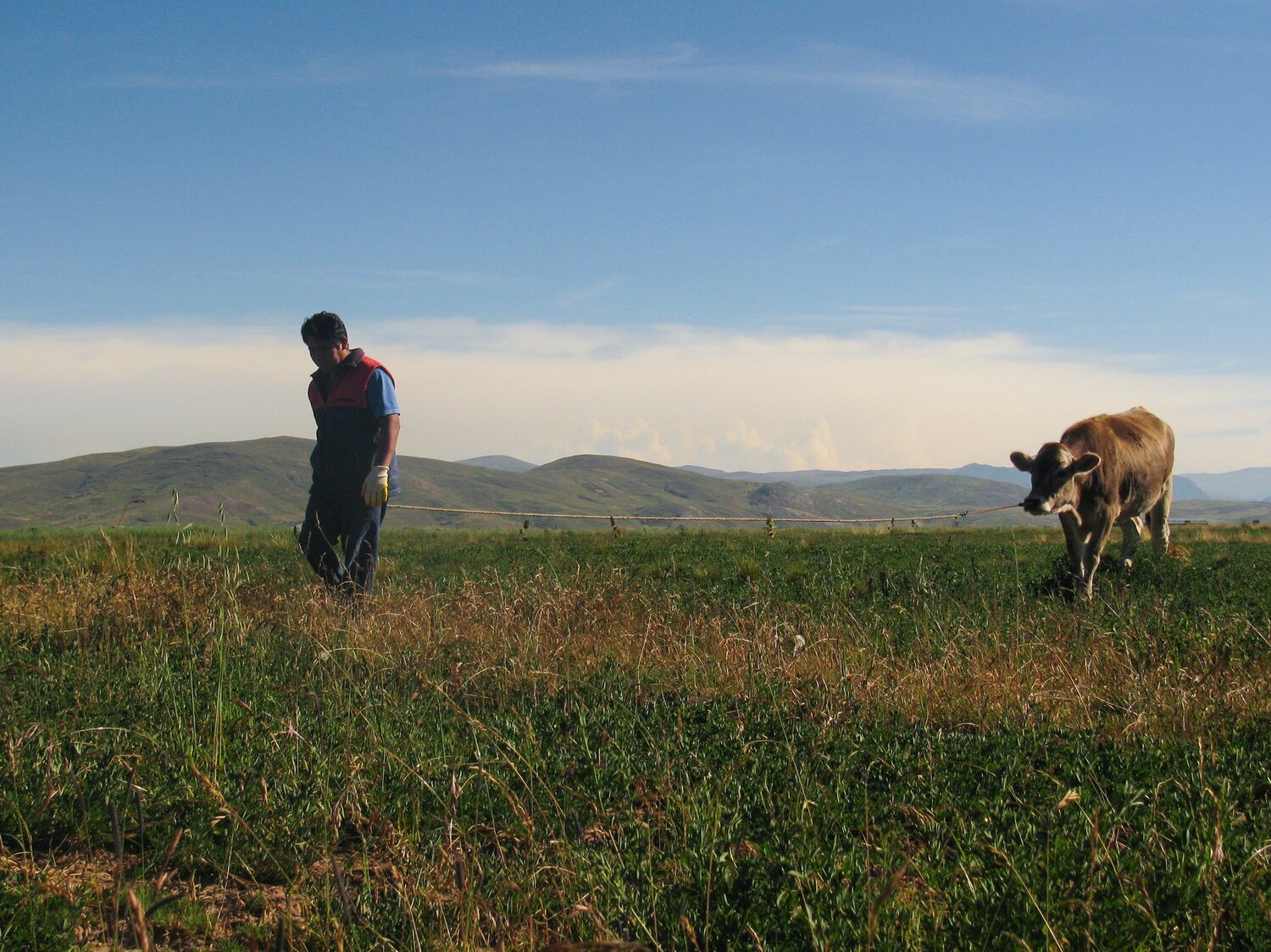 Photo #4651531