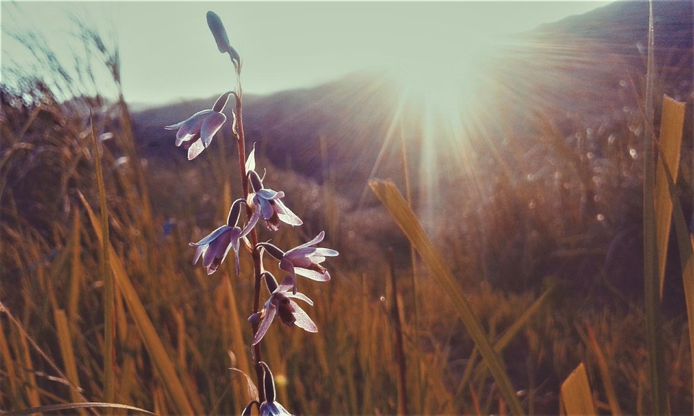 Photograph by Crisanto Caya