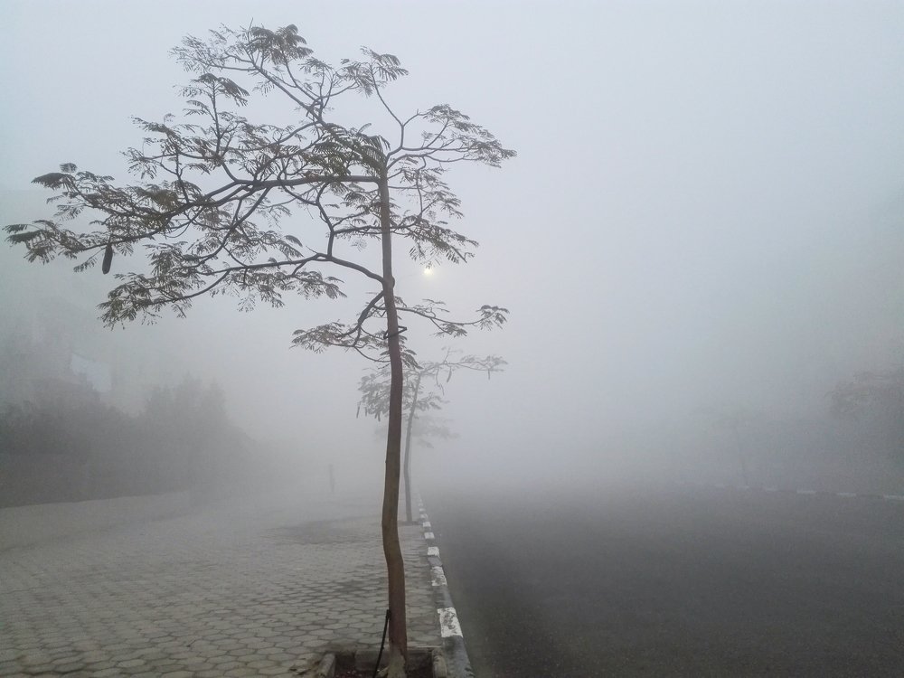 Photograph by Helmy Moataz