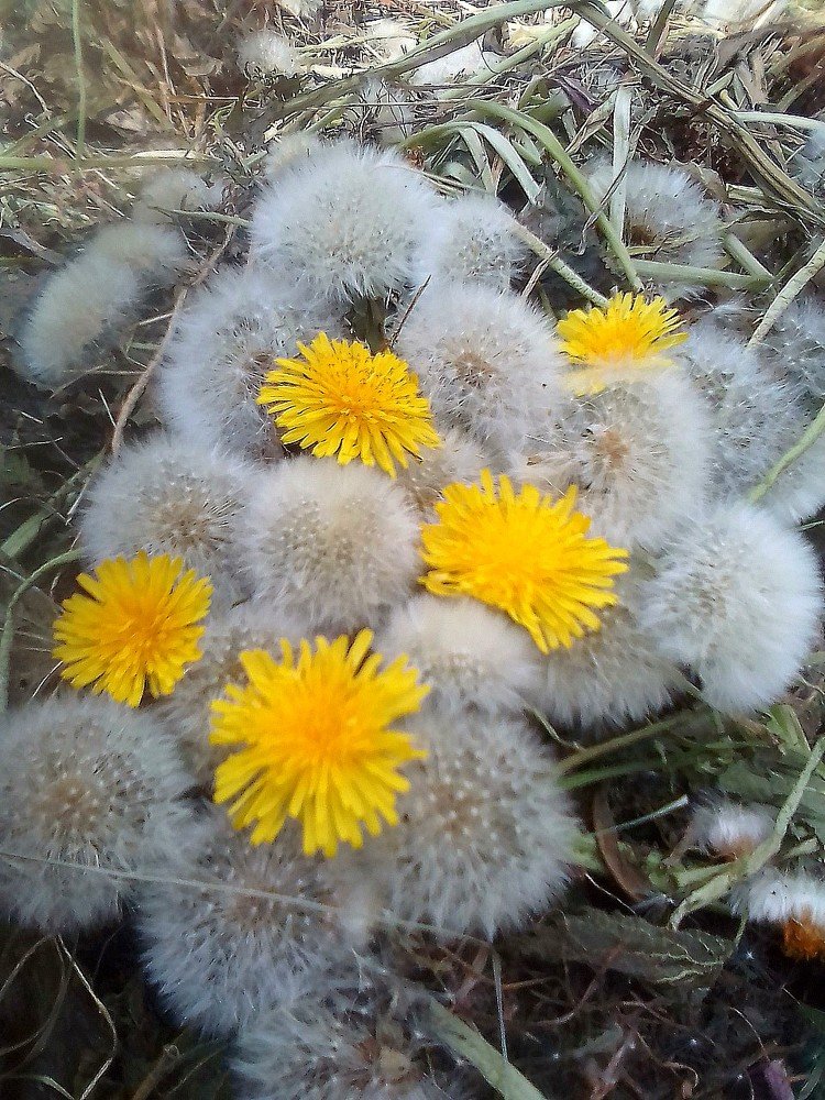 Photograph by Юлия Антонова