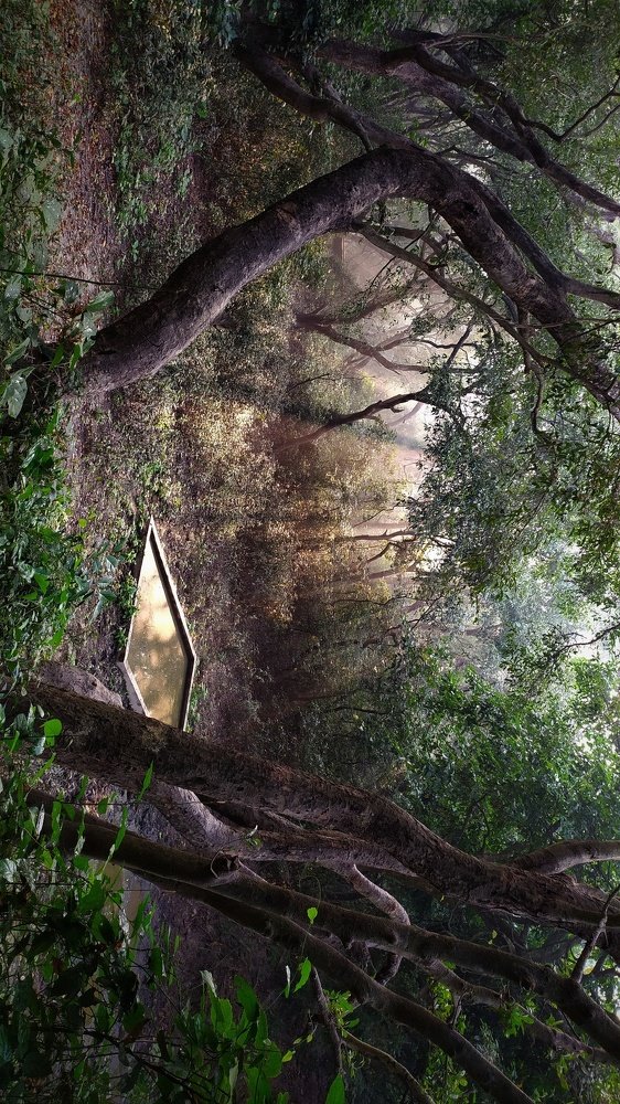 Photograph by Rajat Dixit