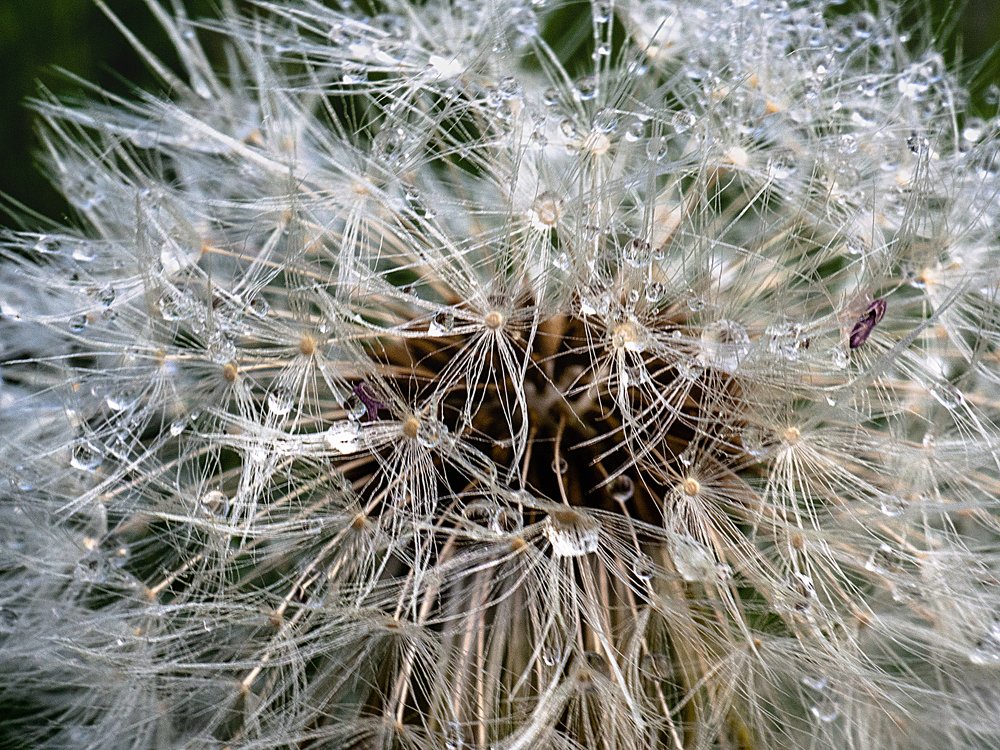 Photograph by mikhail goryachev