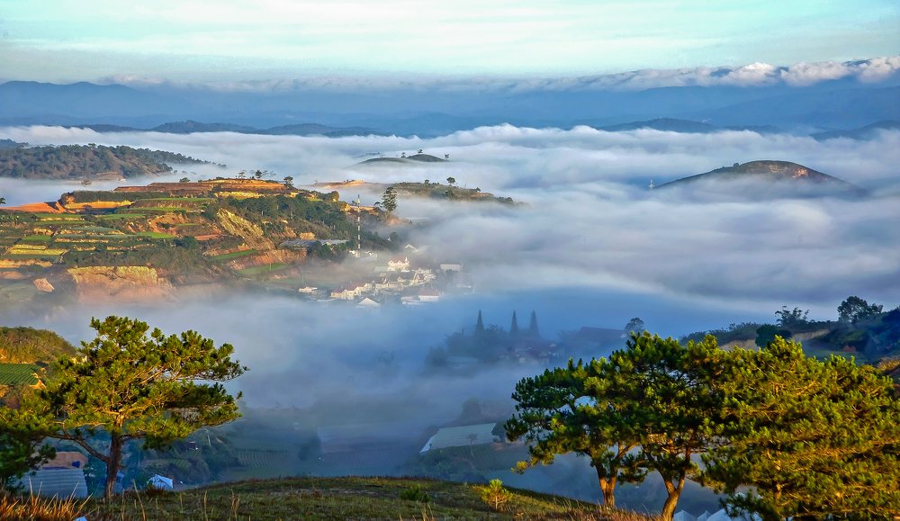 Thành phố mù sương