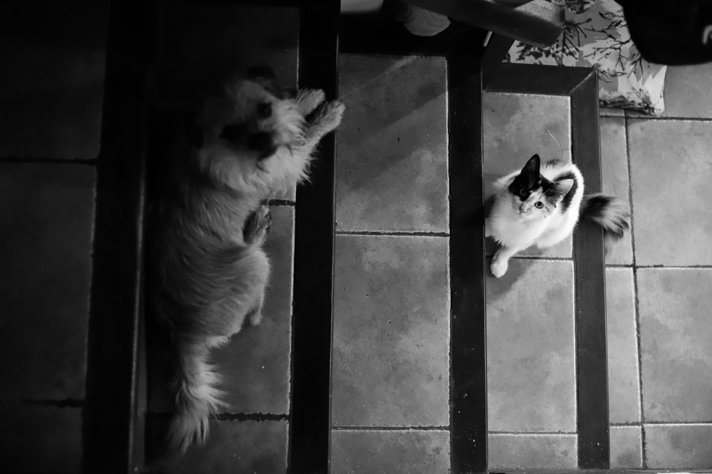 Photograph by Vanni Gonzo