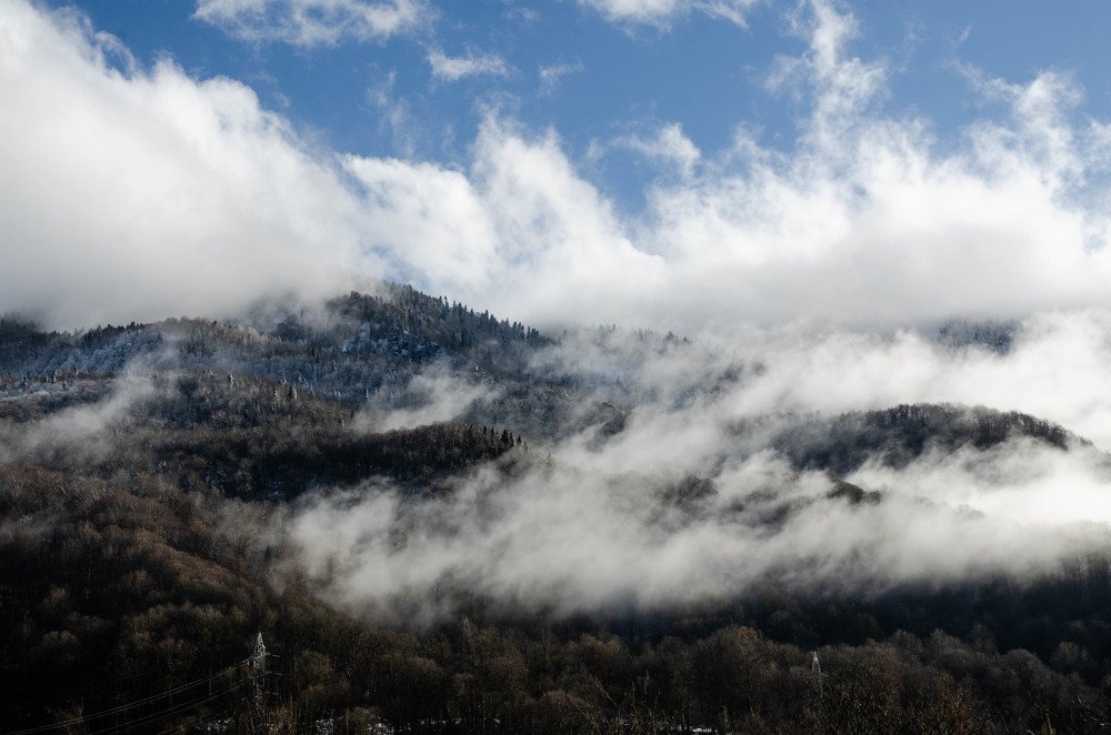 Photograph by Yana Karabut