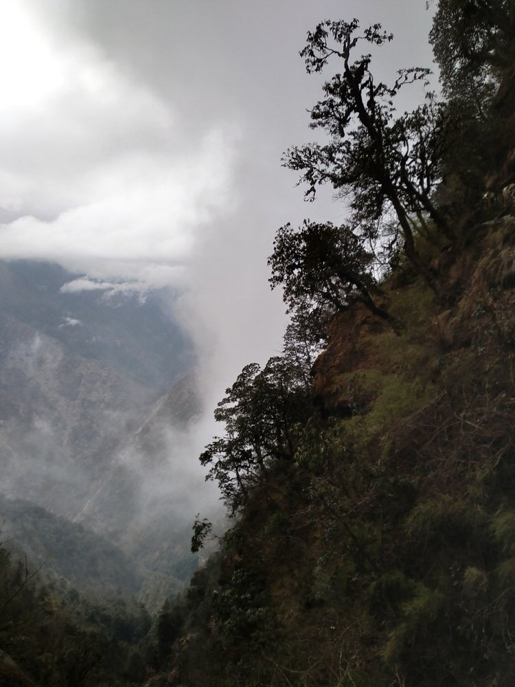 Туманный перевал