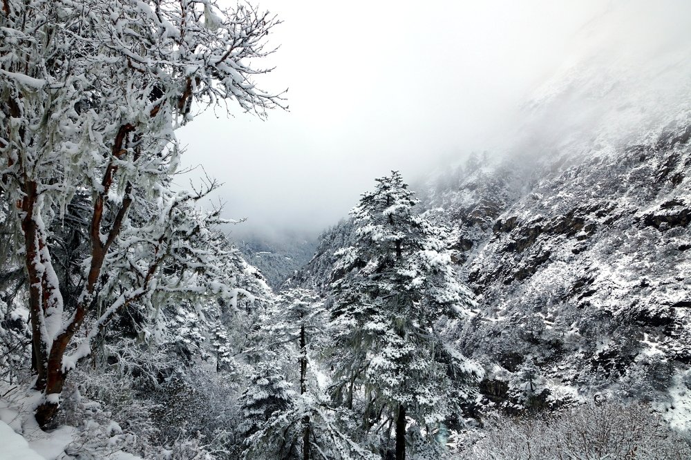 Ущелье в тумане