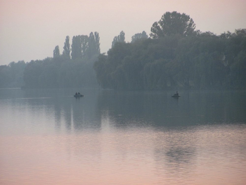 Photograph by Светлана Шмигельская