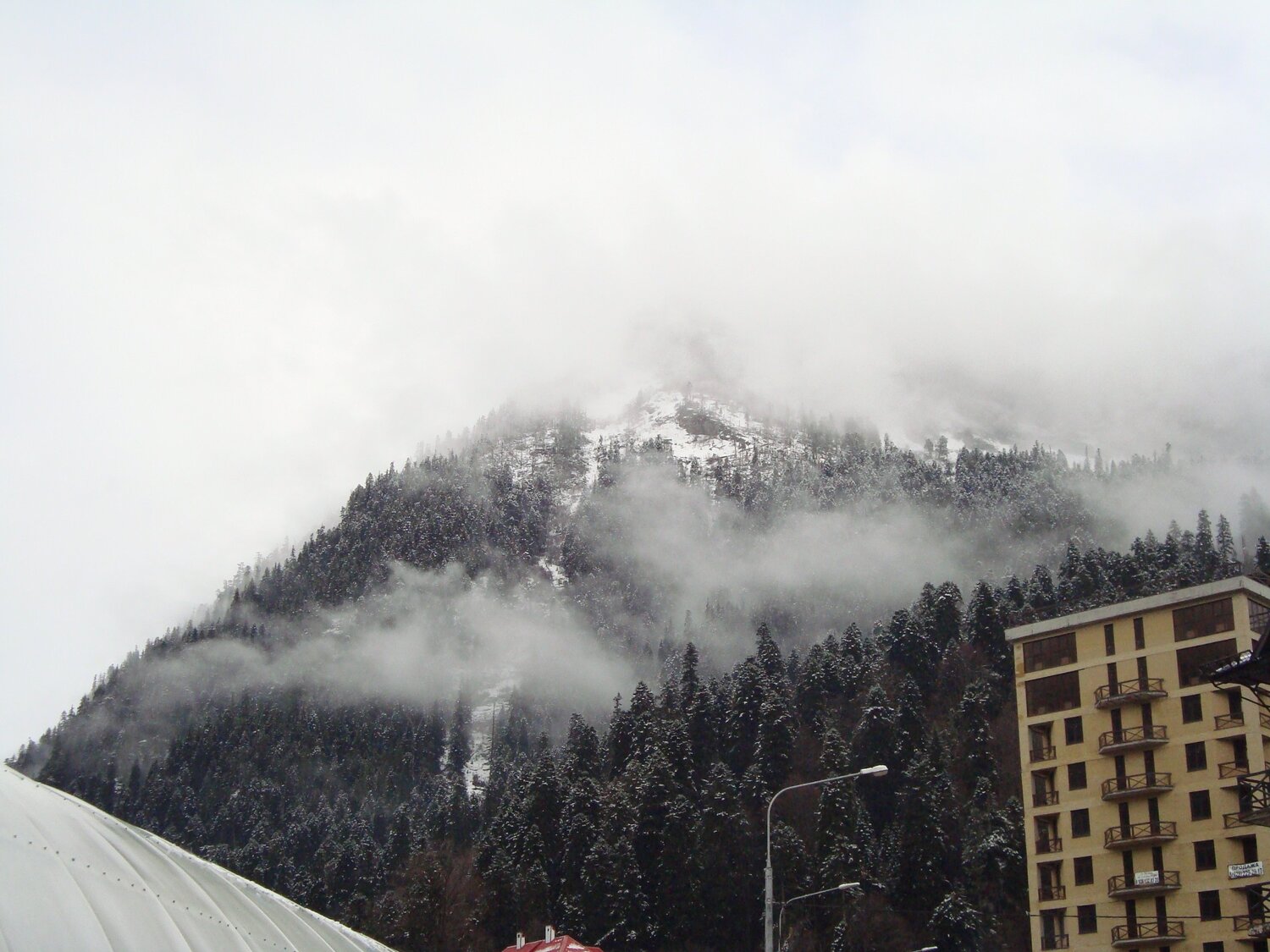 Photo #4651909