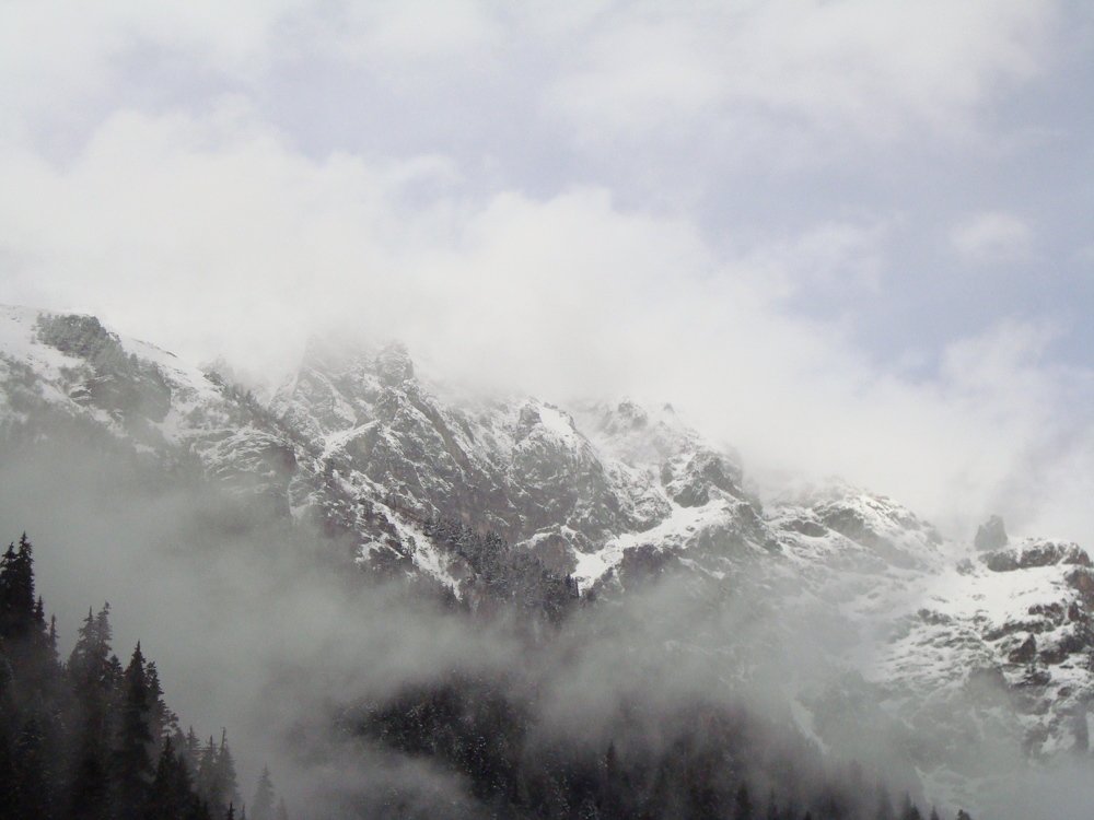 Photo #4651921