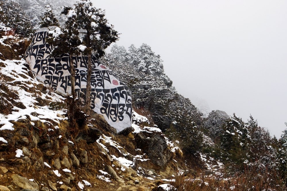 Туман на тропе