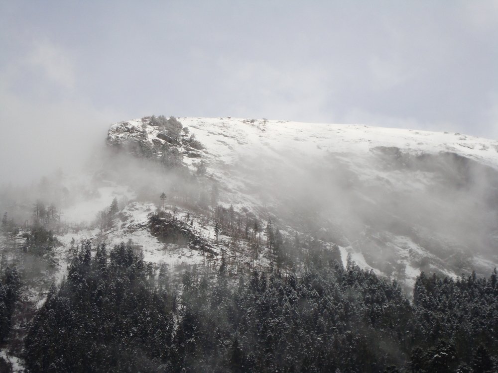 Photo #4651962