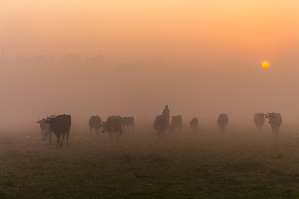 Фотография автора Tanay sarker