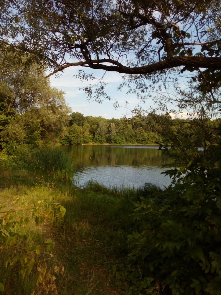 Река