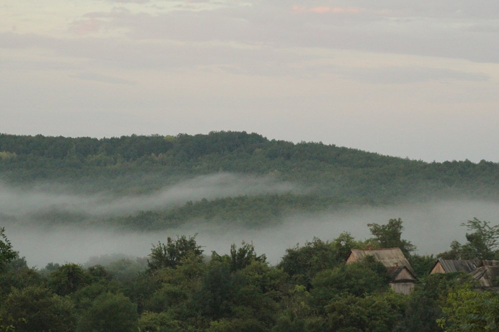 Photograph by Ангелина Журавлева