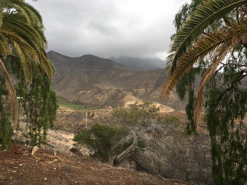 Photograph by Элина Антониаду