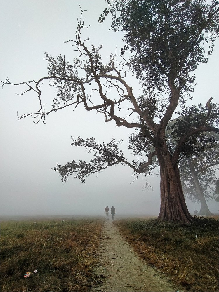 Photograph by Abhinandan Naskar
