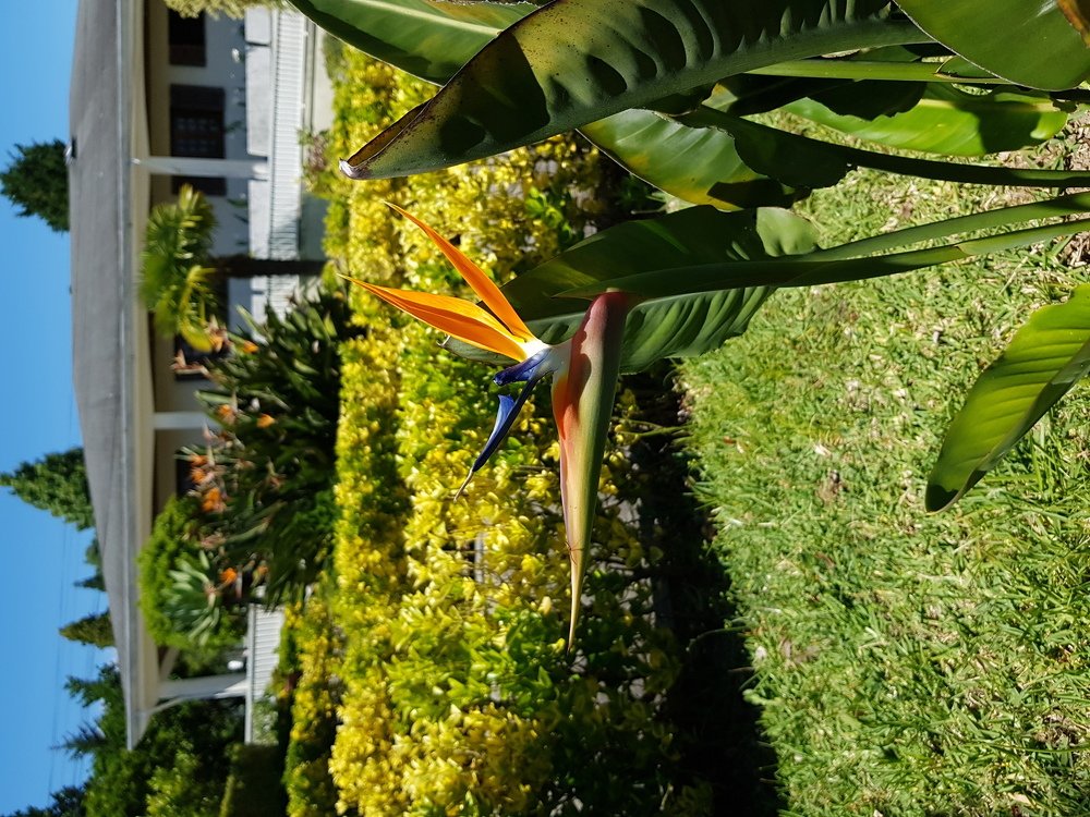 Фотография автора Jorge Correia