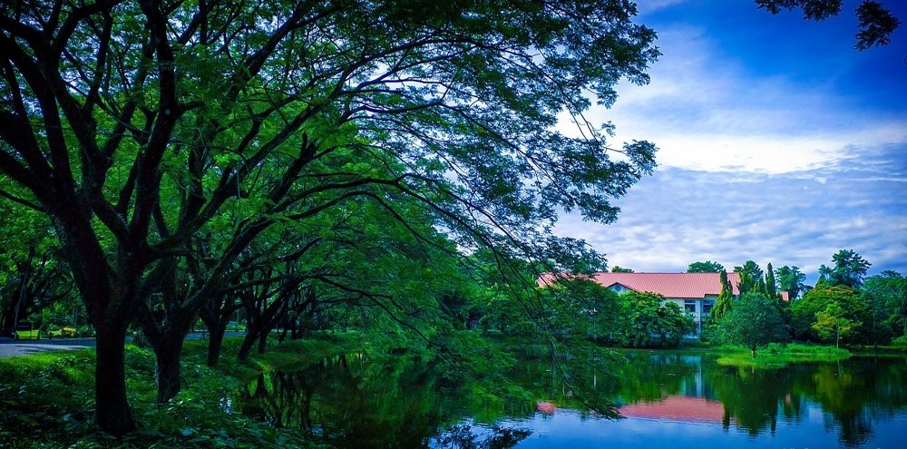 The beautiful Nature.