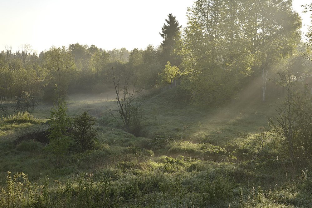 Photograph by Григорий Гурьев