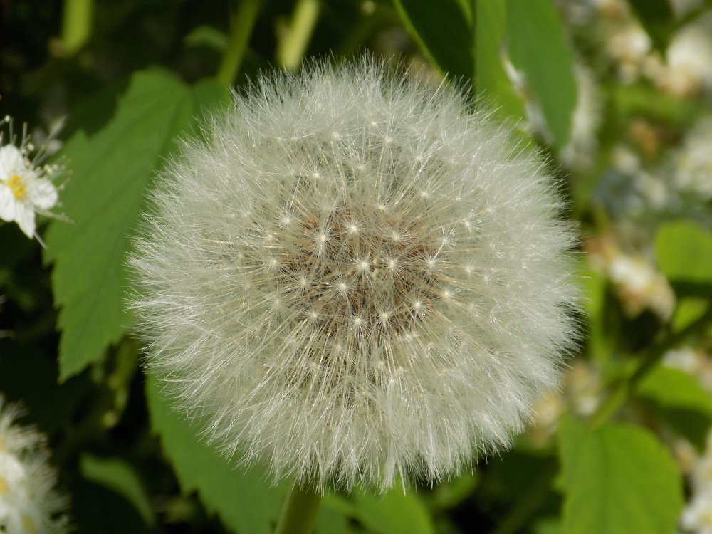 Photograph by Валентина Смирнова