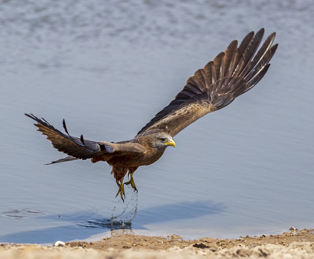 Photograph by Isaac Mpuchane