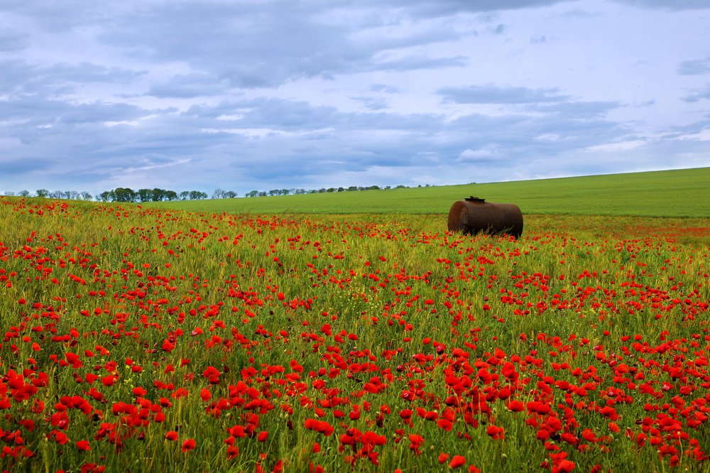 Photograph by Валерия Маркова