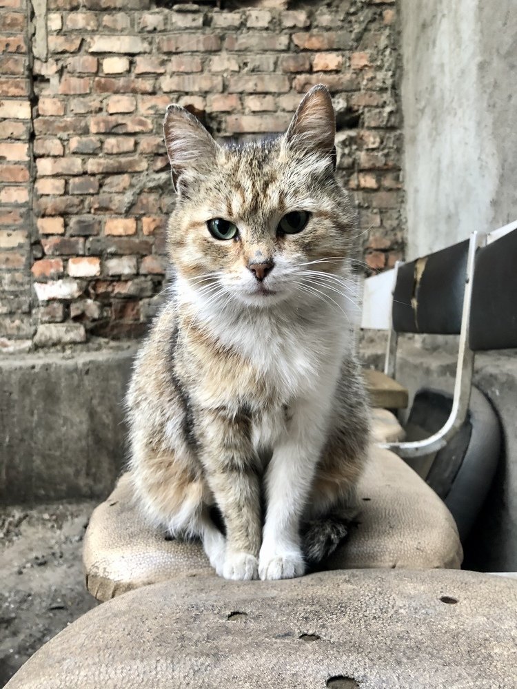 Фотография автора Мария