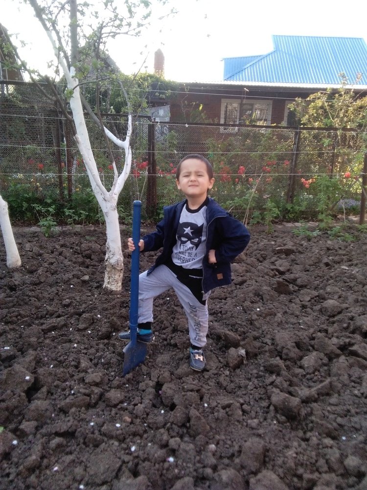 Photo #4652449